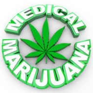 cannabis in the workplace